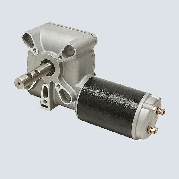Worm Gear Motor With Encoder