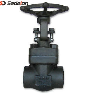 Butt Weld /Socket weld A105N Gate Valves