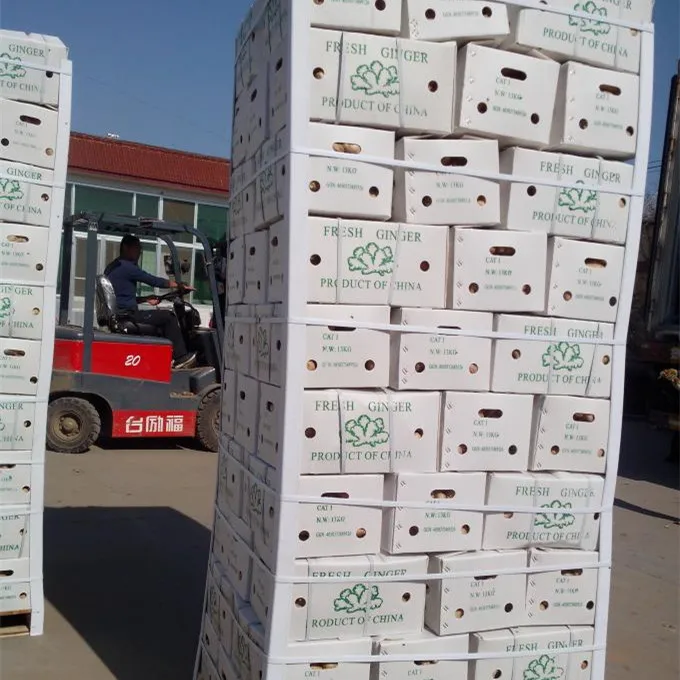 Factory Wholesale 2018 New Crop below market price for fresh ginger