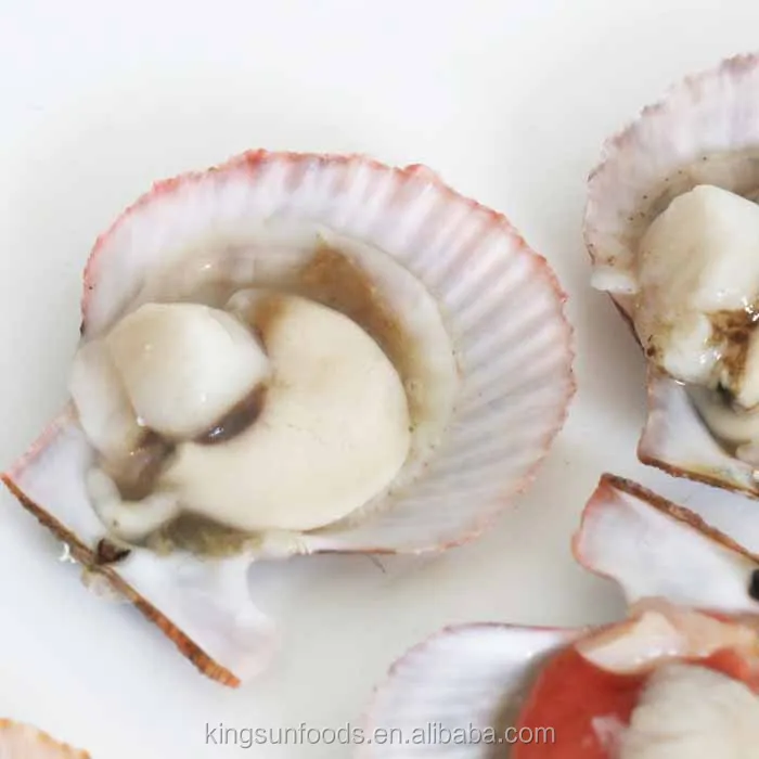 Half Shell Frozen Farreri Scallop