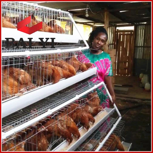 different size chicken cage for sale in philippines