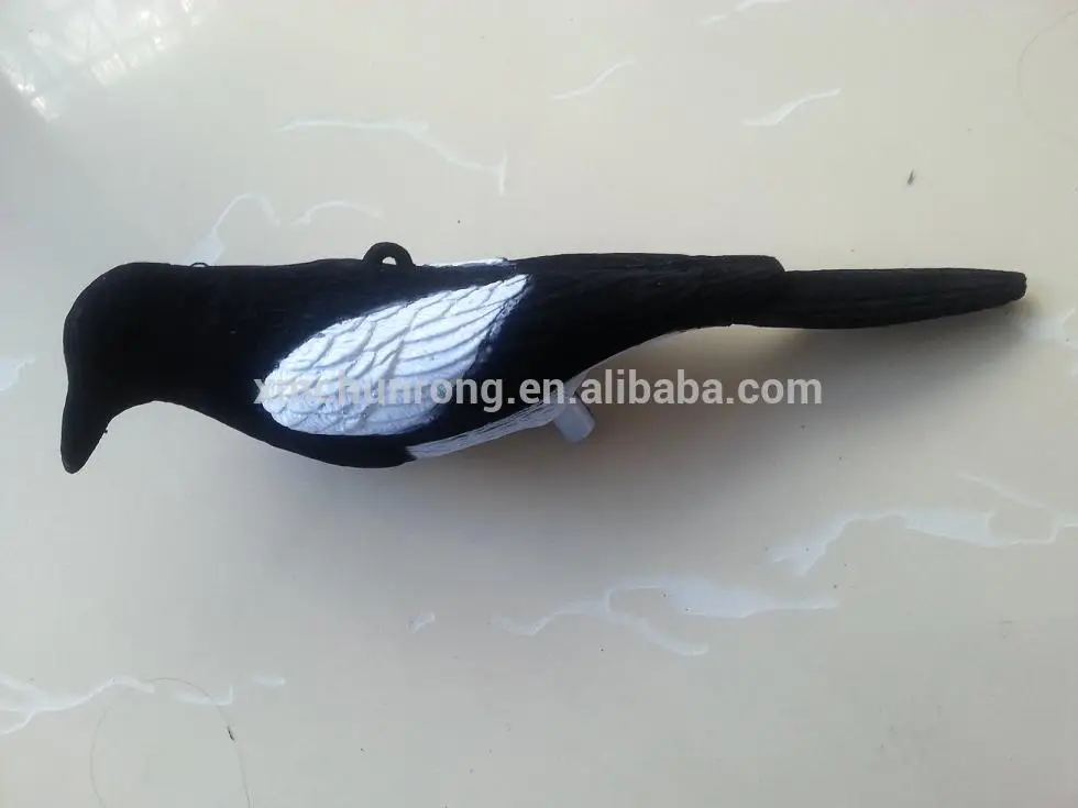 мало сорока, сорока манок, сорока приманки охоты