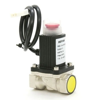 Gas Control Valves Gas Detector with Alarm Natural Standard Solenoid Normal Temperature Brass or Aluminum Alloy Manual Reset NBR