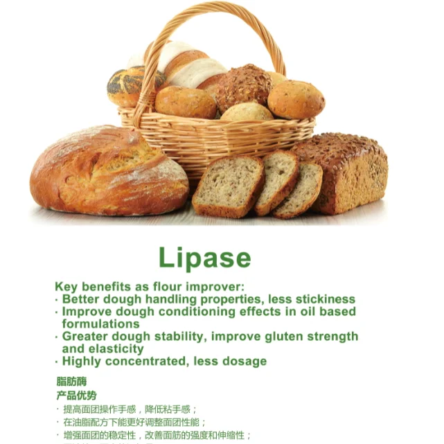 Food grade baking industrial lipase enzyme for flour