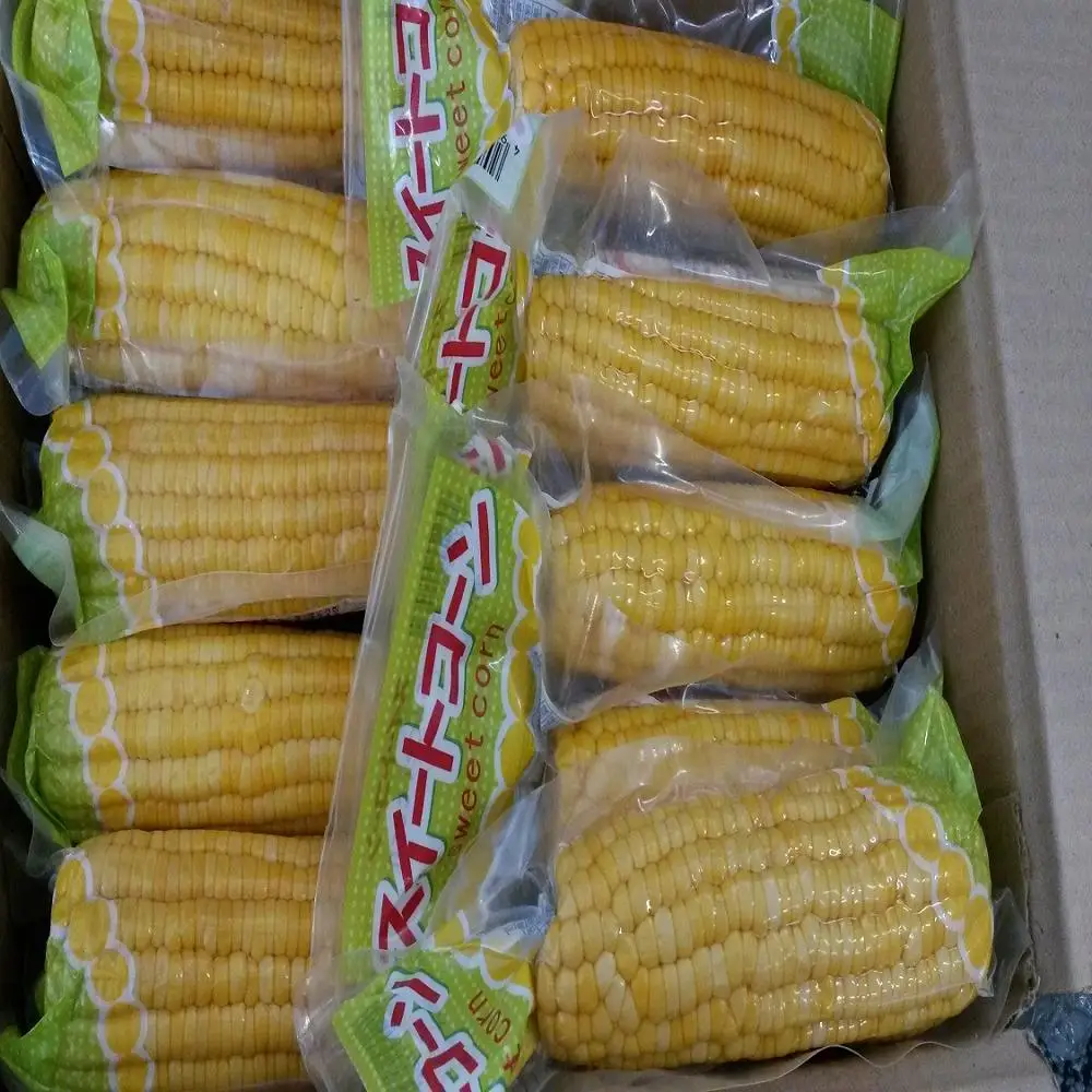 
corn snack boiled sweet corn canned corn cob ready to eat 