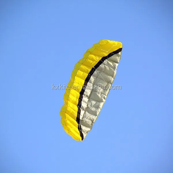 2.5M Dual Line Inflatable Power Kite from the kite factory