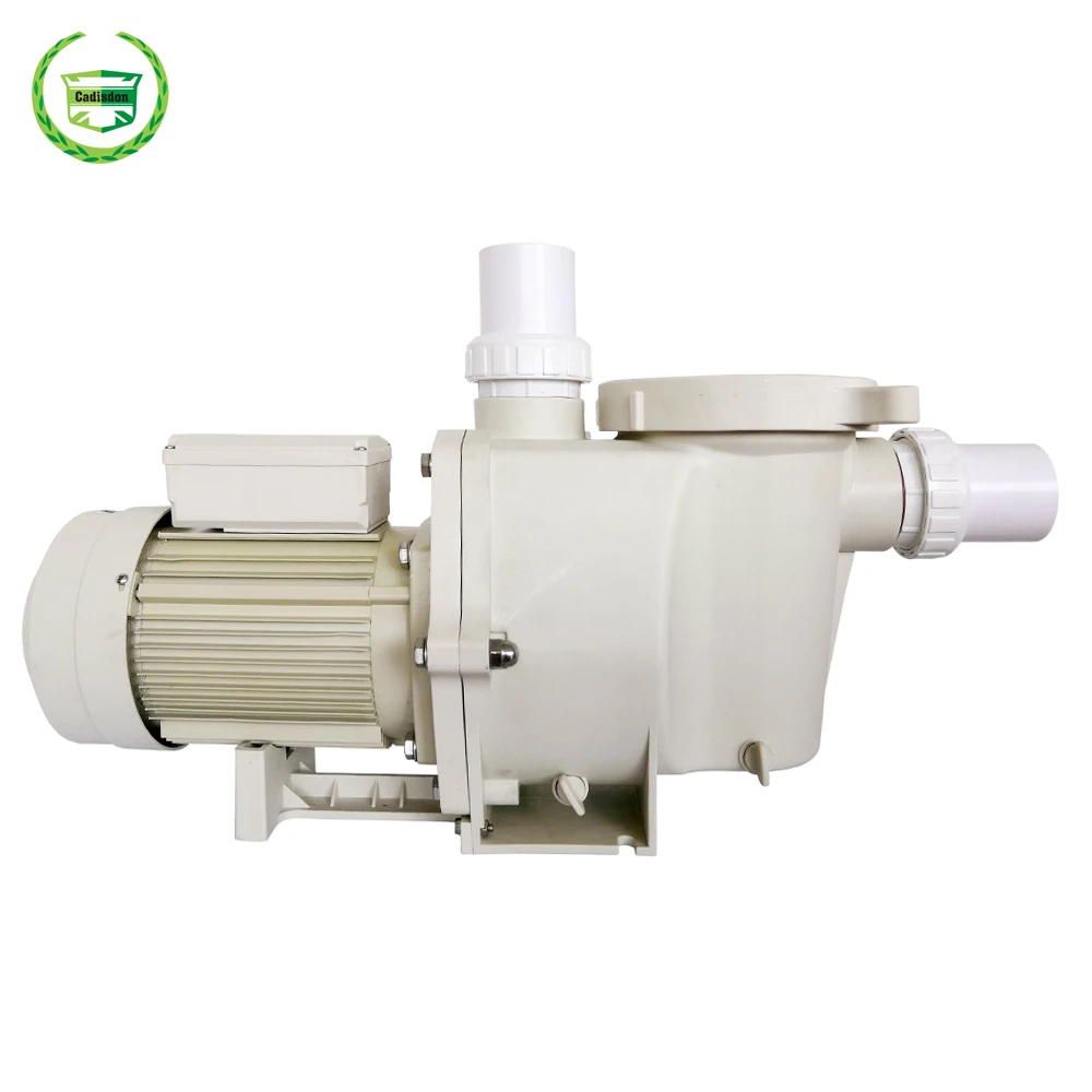 3HP Holide de Swimming Pool Filter Factory In China
