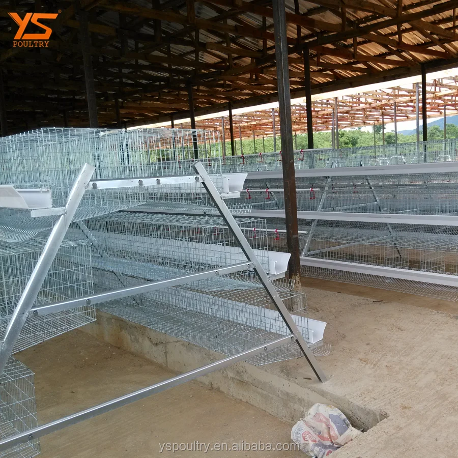 
fully automatic egg laying chicken poultry farm for sale in Ghana 