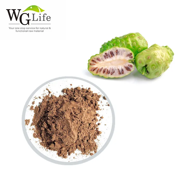 100% Natural Noni Fruit Extract Powder , Healthy Supply Dried Noni Fruit Powder