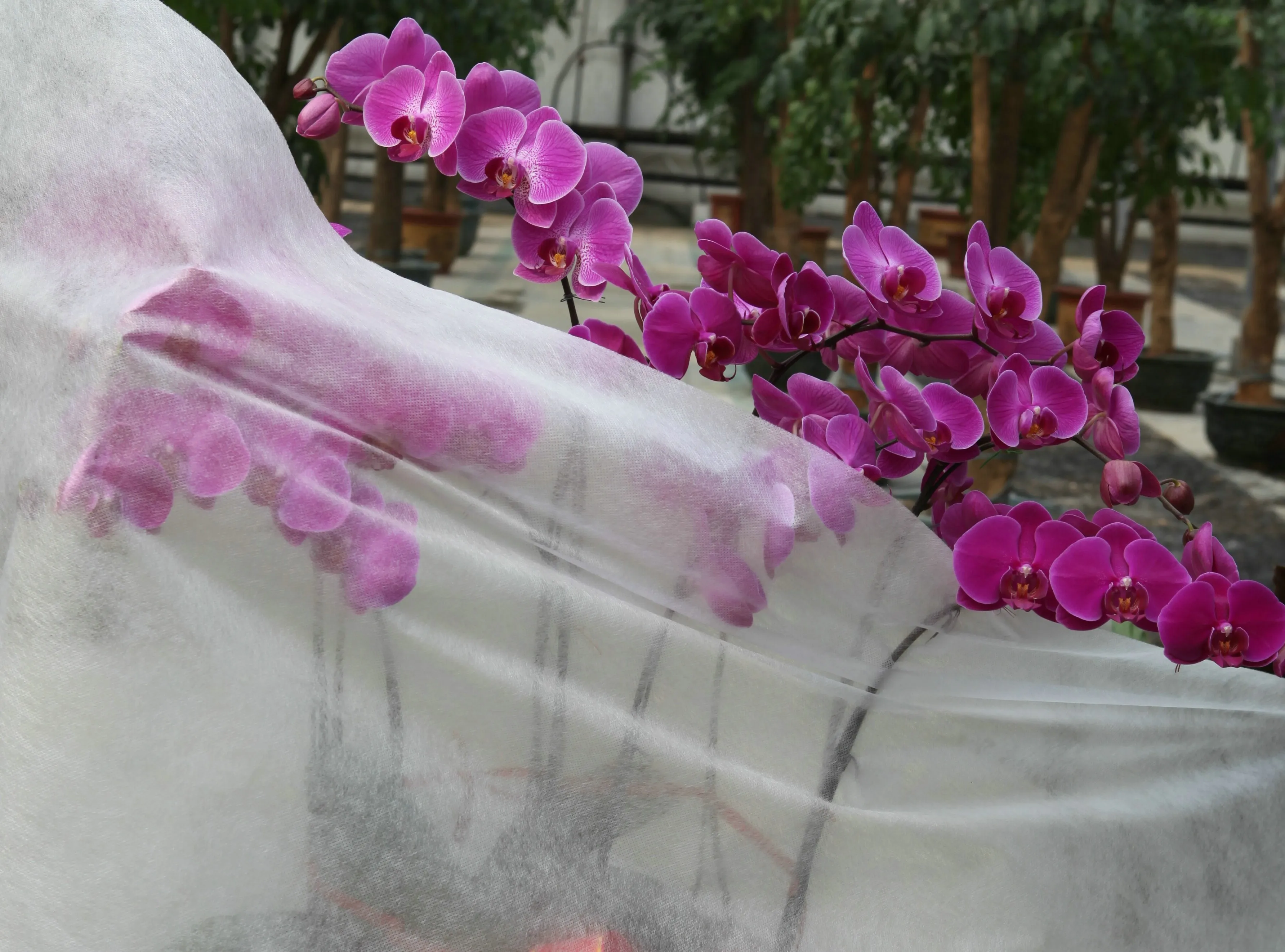 UV stabilized 17g 30g anti frost breathable polypropylene non woven garden TNT non-woven fabric