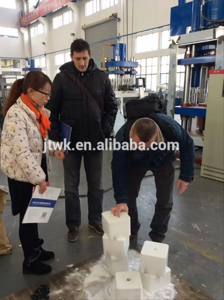 
300 Tons 500 Tons Automatic Feeding Salt Block Press 