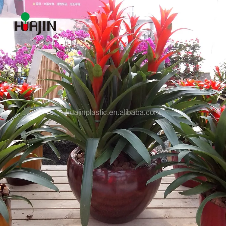 China garden ceramic look plastic large plastic pot / planters