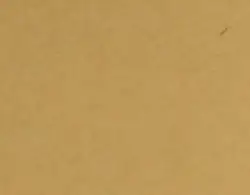 Cube cardboard cat play house