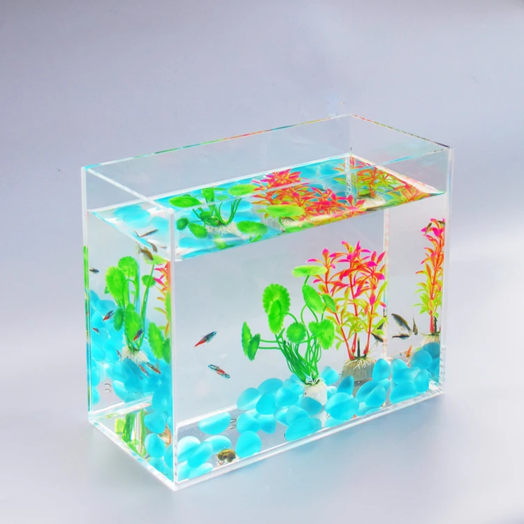 
personalized acrylic mini fish tank 5 sides clear transparent plexi water containers 
