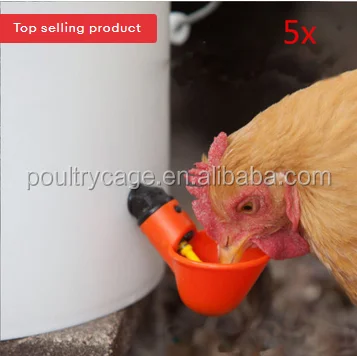 Лучшая поилка для птицы, поилка для цыплят на продажу