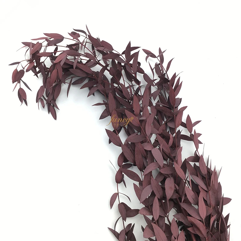 Last 3 Years Natural Flower Leaves Arrangement Dried Preserved Eucalyptus