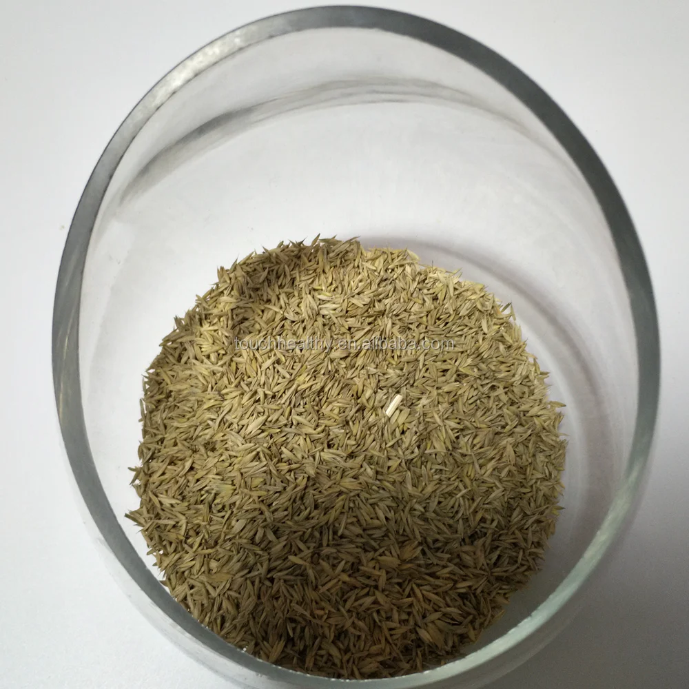 2021 orchardgrass Семена/Dactylis glomerata Семена/кормовая трава Семена