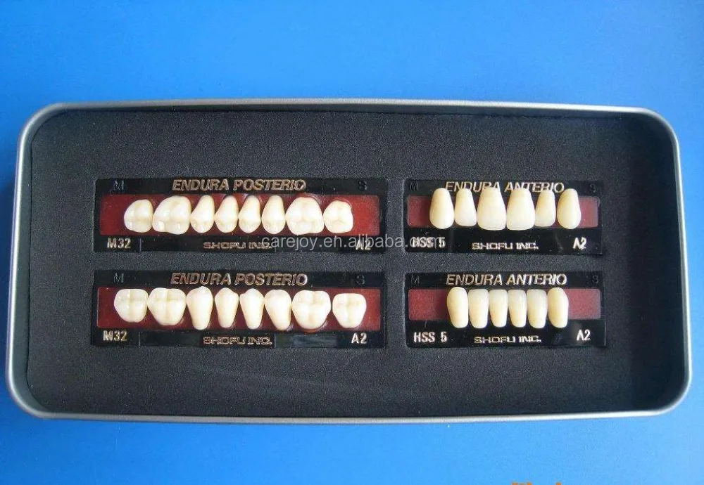 High Performance Dental Shofu Endura Teeth