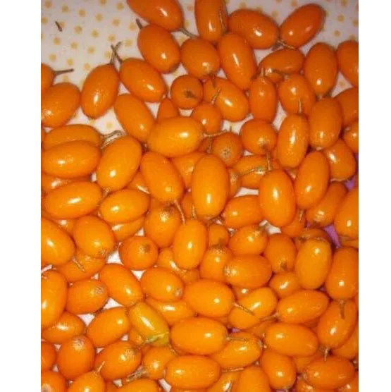 
new season good quality good price Frozen Sea Buckthorn berry IQF Sea Buckthorn berry 