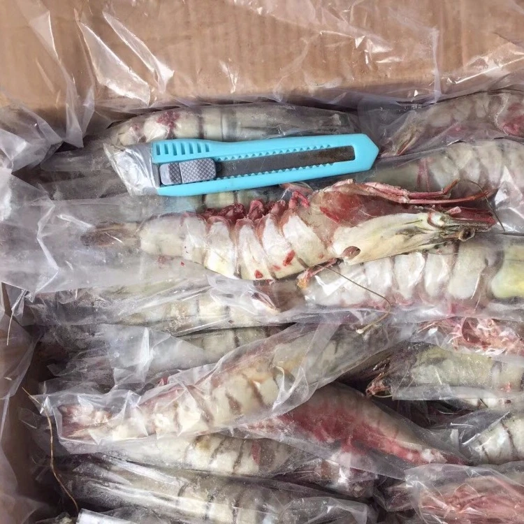 Frozen big size tiger shrimp for sale