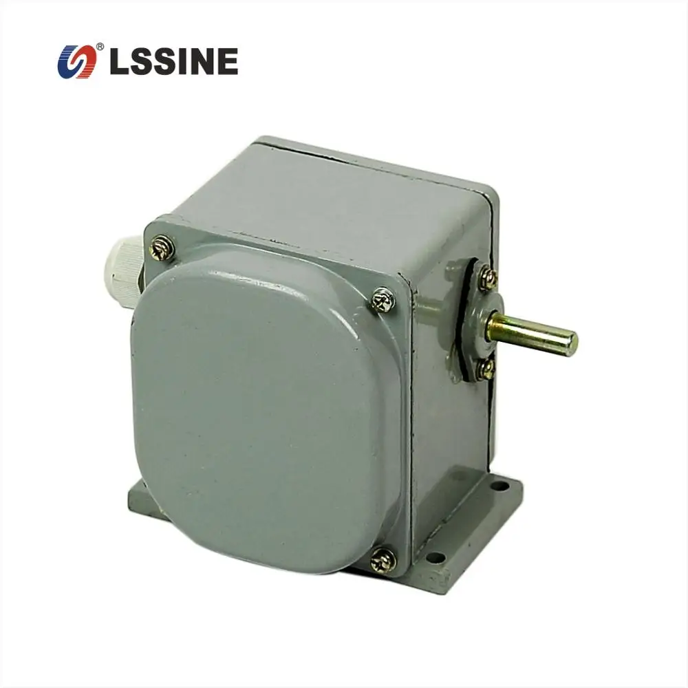 
BY 250 limit switch 