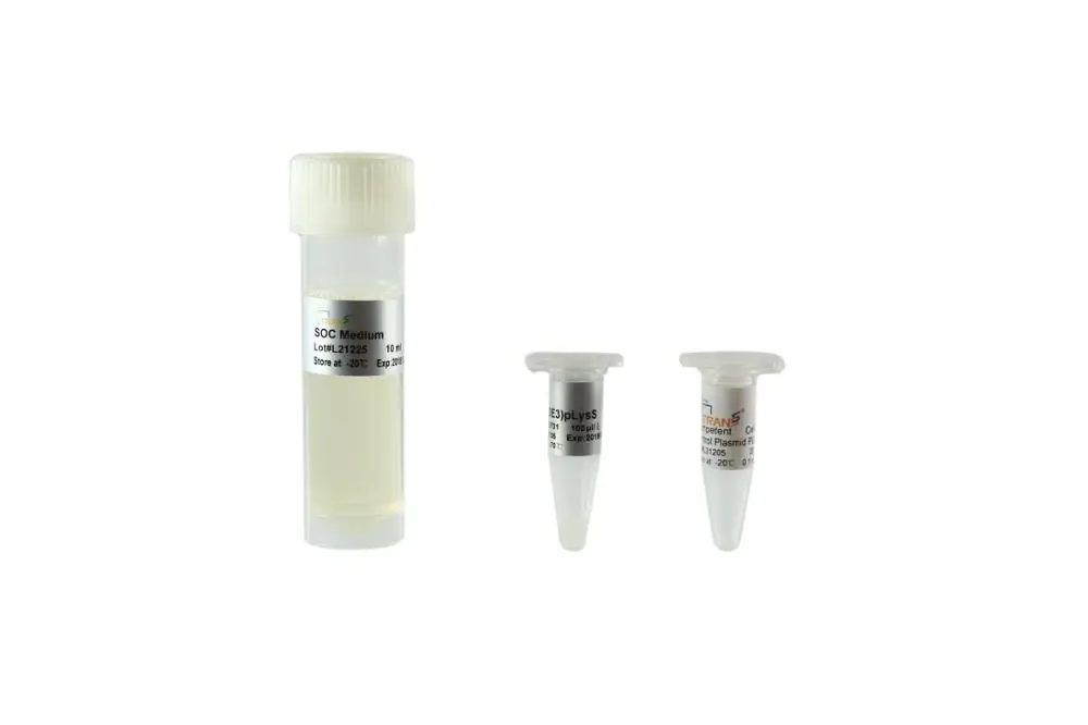 BL21(DE3) pLysS Chemically Competent Cell