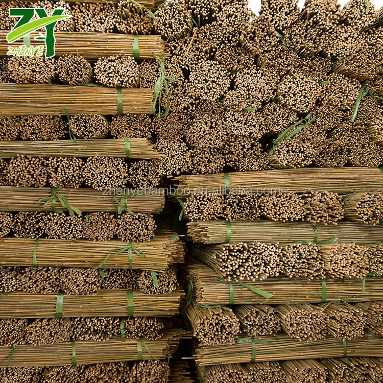 
HOT!!! ZY-1005 Bamboo Sticks Wholesale Price Bamboo Tonkin Sticks Cheap Bamboo Sticks 