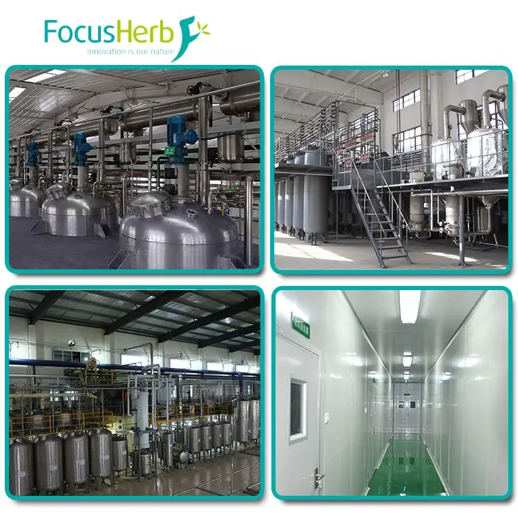 
FocusHerb Approved 2-hydroxypropyl-beta-cyclodextrin 