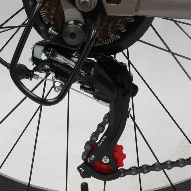 DOUBLE Shoulder shock  front fork 26 inch  26*4.0 fat tire mountain bike bicycle