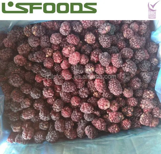
China Wholesale Frozen Blueberry Bulk frozen blackberries 