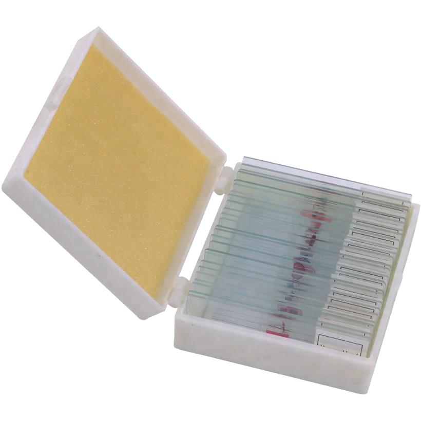 Prepared Microscope Slides Series
