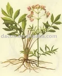 
supply valeric acid 0.3% 