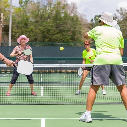 YEDO OEM Graphite Pickle Ball Paddle Custom Graphic Nomex Honeycomb Core Pickleball paddles