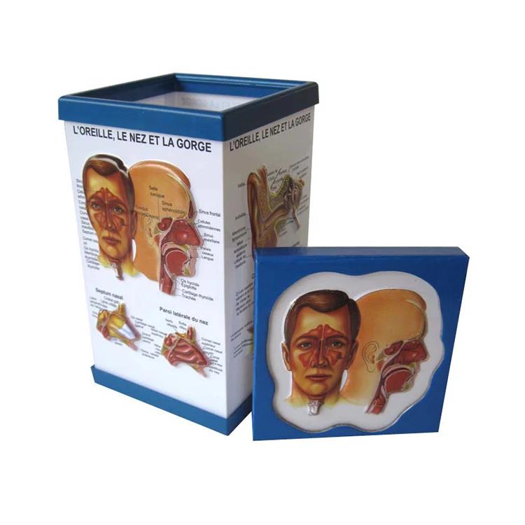 Индивидуальный медицинский подарок, пластиковый держатель для карандашей с одной ручкой для врачей и медсестер