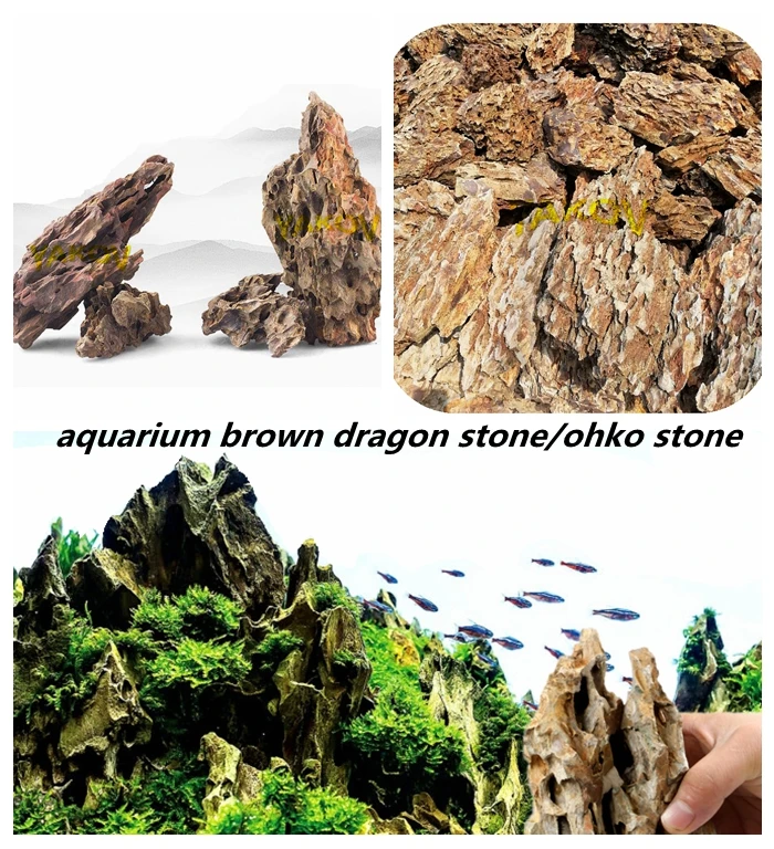 dragon stone ohko stone.jpg