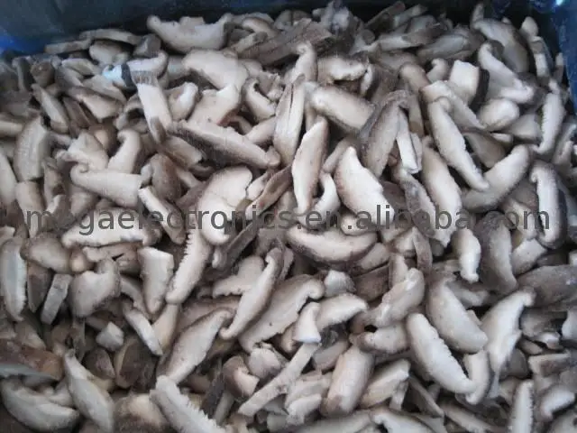 Fruits Freezing useful quick fish cold room spiral freezer