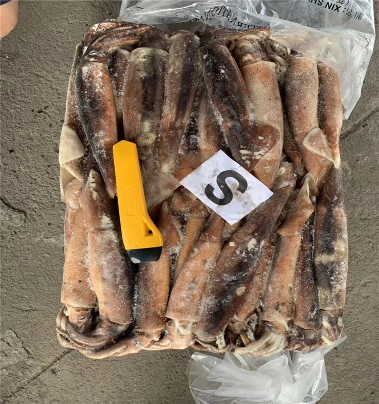 Sea fishing frozen Illex squid argentina illex squid