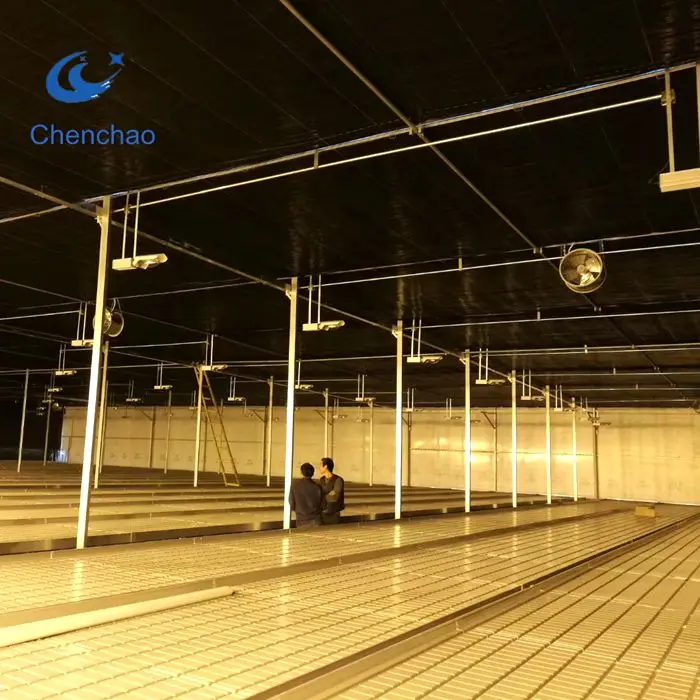 Greenhouse kits ebb flow trays rolling tables plant growing trays