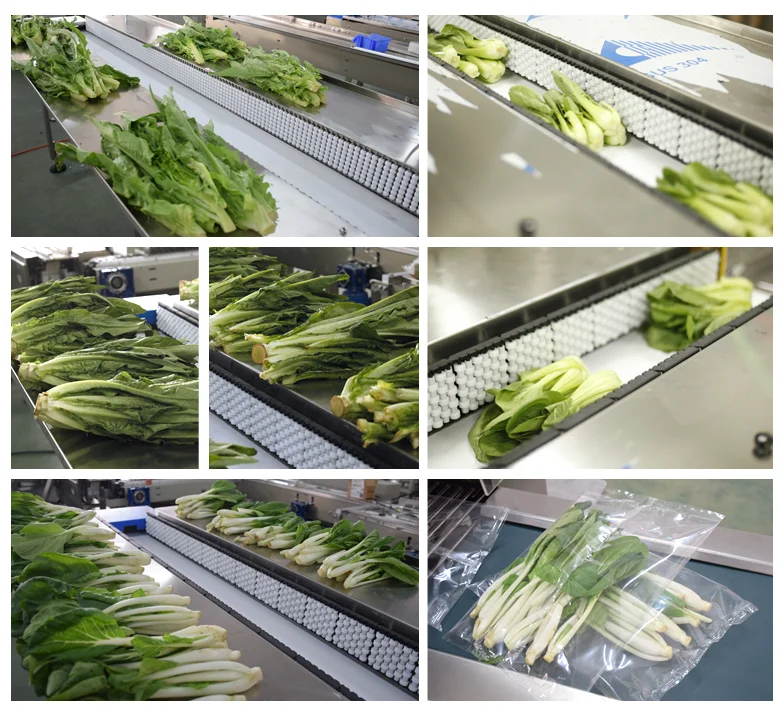 Automatic fruit and vegetable packing machine