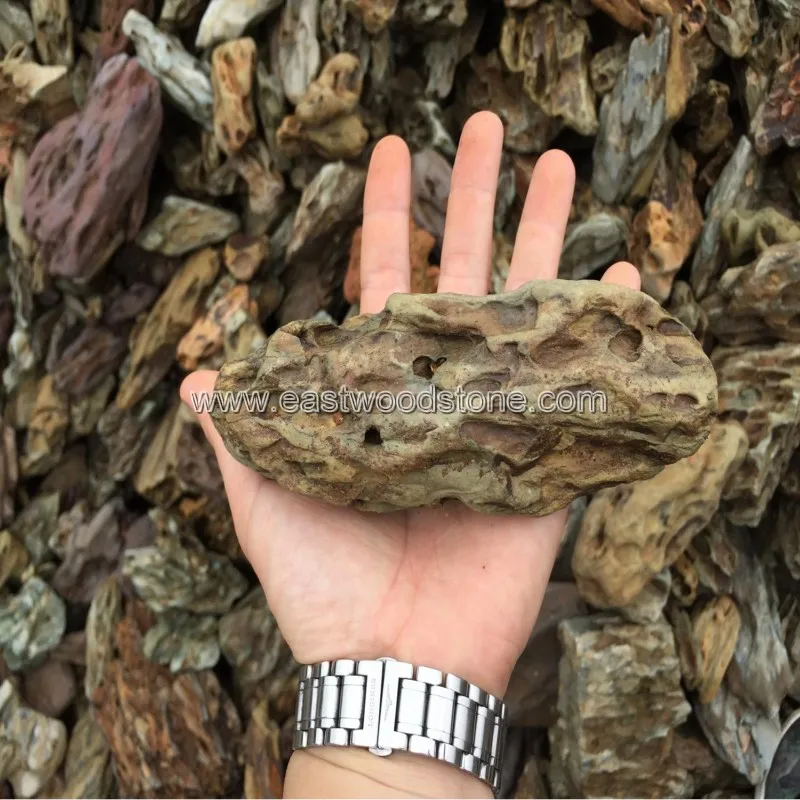 
Natural Aquarium Holey Lace Rock 