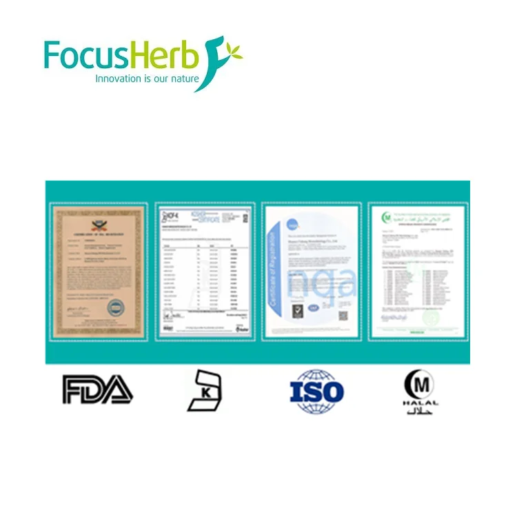 
Pure Natural Water Soluble Spray-dried Cranberry Juice Powder 