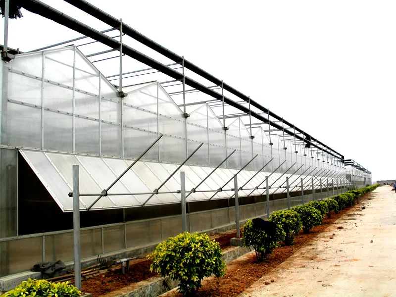 
custom size agricultural grow hydroponics system tomato glass greenhouse 