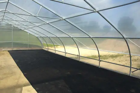 Polytunnel Garden High Quality Plastic  Greenhouse For Agriculture