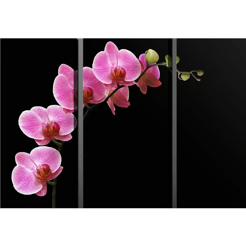 Factory made crazy selling multi-panel canvas print for decoration