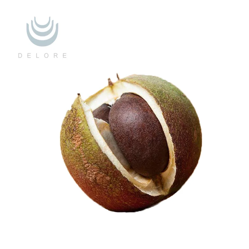 Delore  Tea saponin Tea Seed Extract/Camellia Oleifera Seed Extract