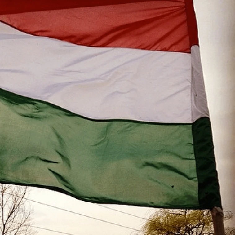 Custom Made Different Types National Country Hungary Red White Green Flag