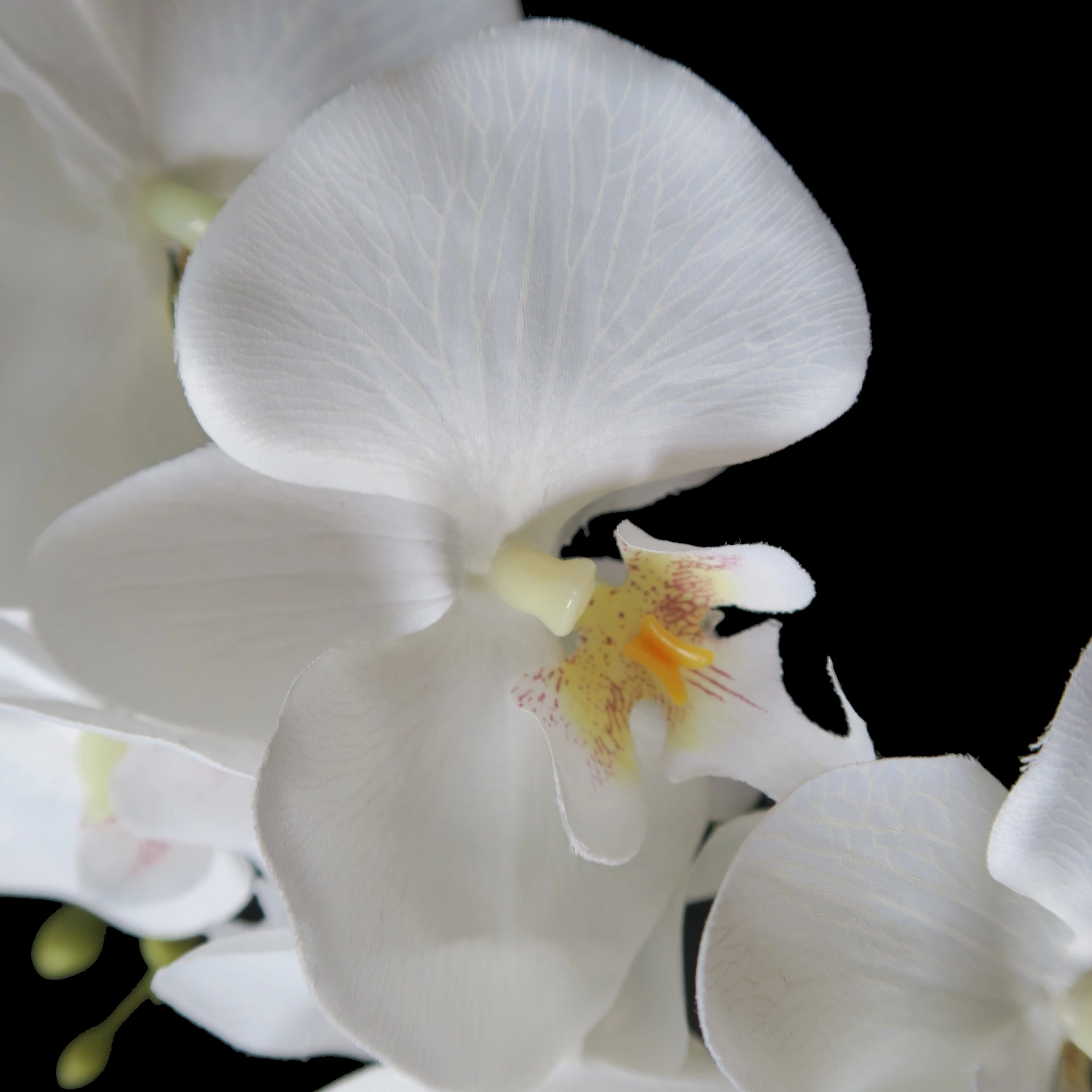 High quality polyester Silk Orchid for home decoration