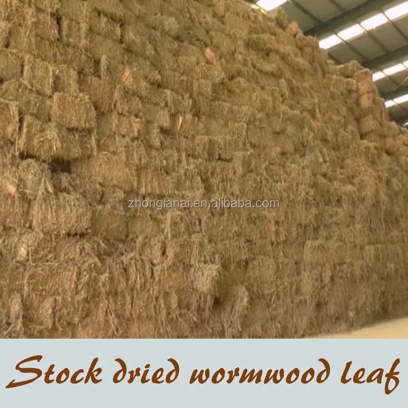 
Mugwort herb wormwood dried leaves moxa for feet soaking, foot treatment spa 