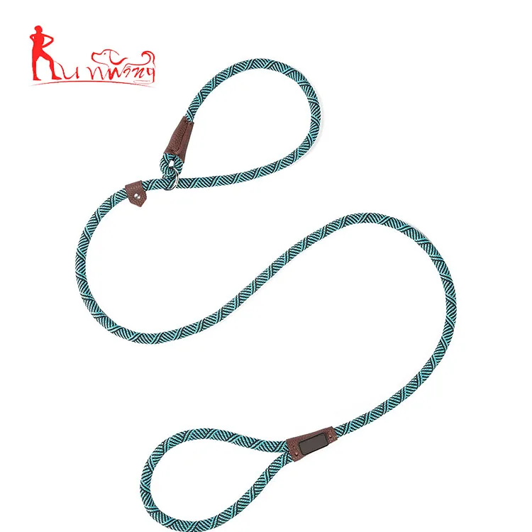 Adjustable mountain climbing loop slip lead for medium dogs, braided lead