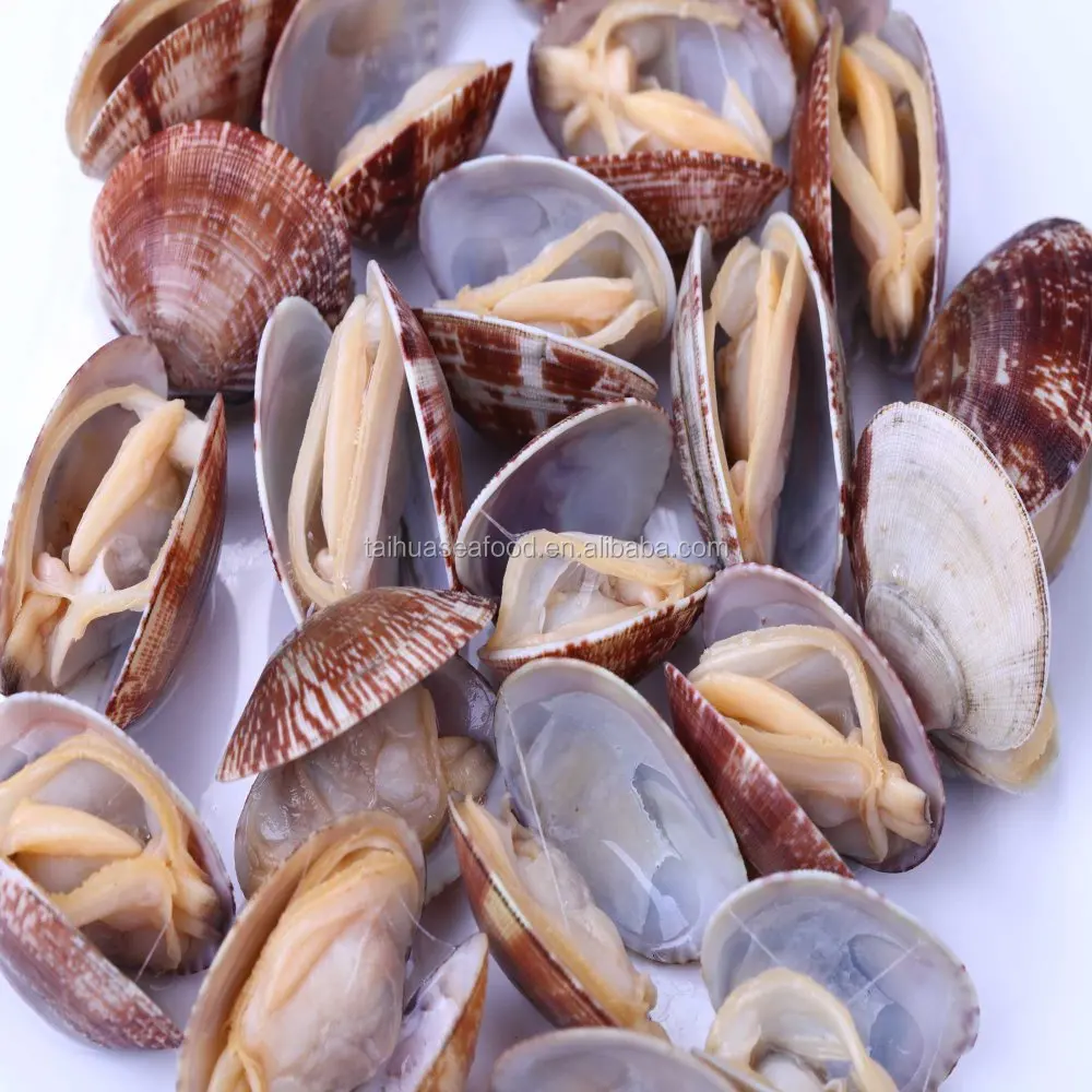 DONGGANG FROZEN FRESH SHORT NECKED CLAM IN SHELL WHICH IS COOKED